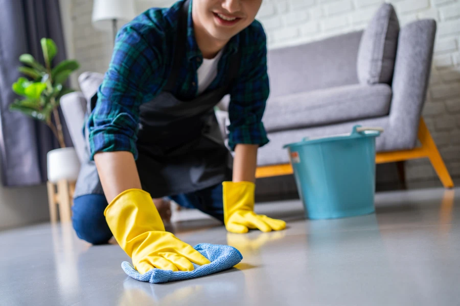 Your Reliable Home Cleaner in Federal Way, WA